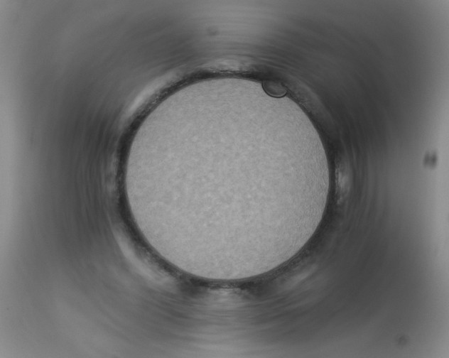 X0000113950396200910232011