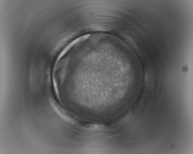 X0000113950398200910232011