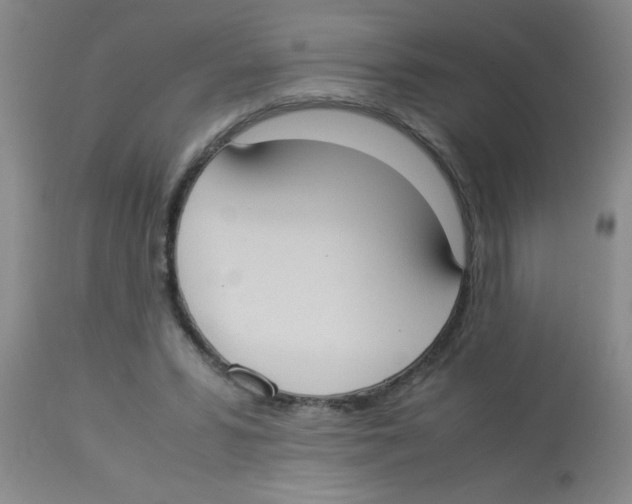X0000113950399200910232011