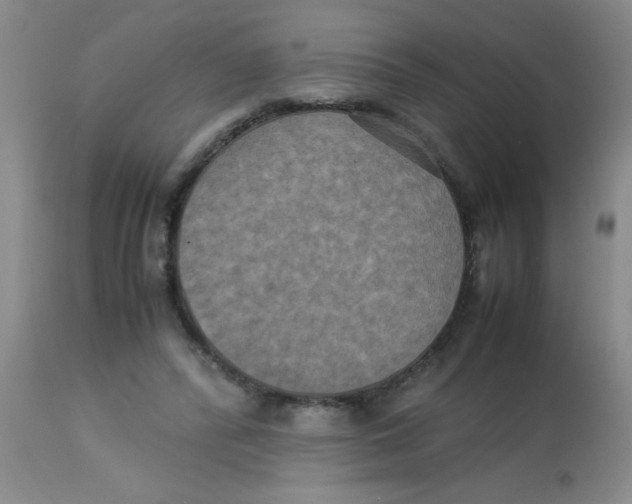 X0000113950400200910232011