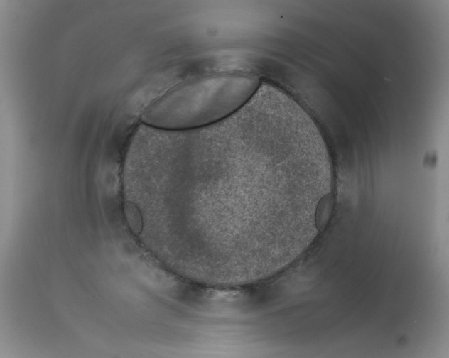 X0000113950401200910232011