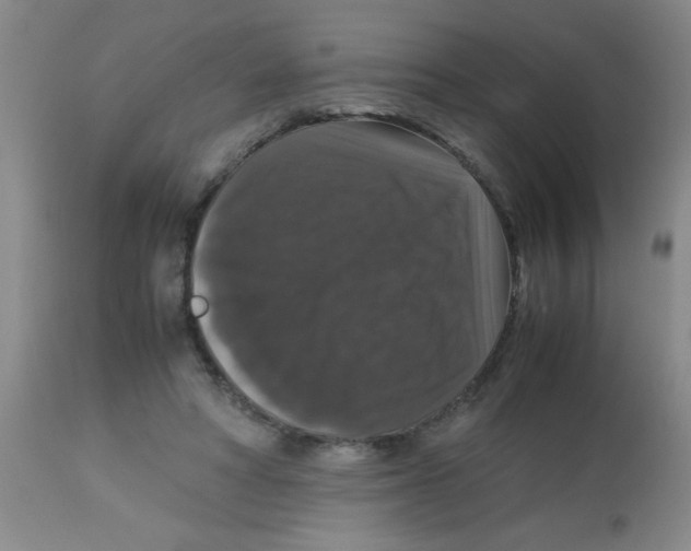 X0000113950402200910232011