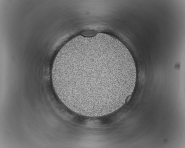 X0000113950403200910232011