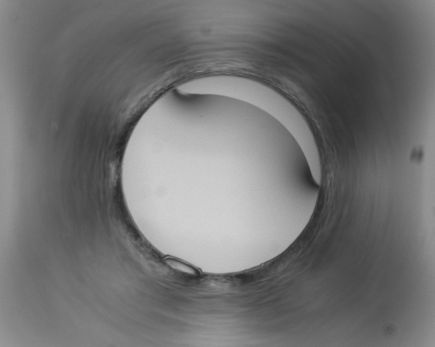 X0000113950405200910232011