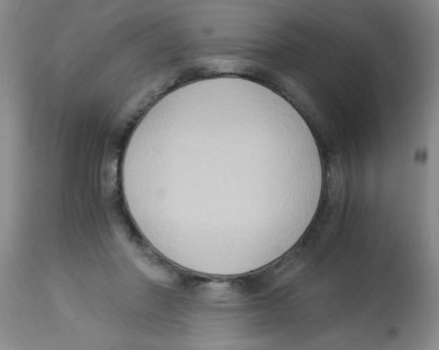 X0000113950406200910232011