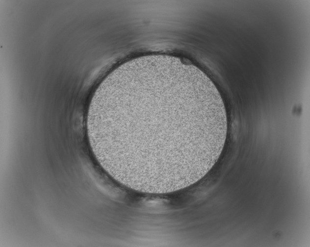 X0000113950407200910232011