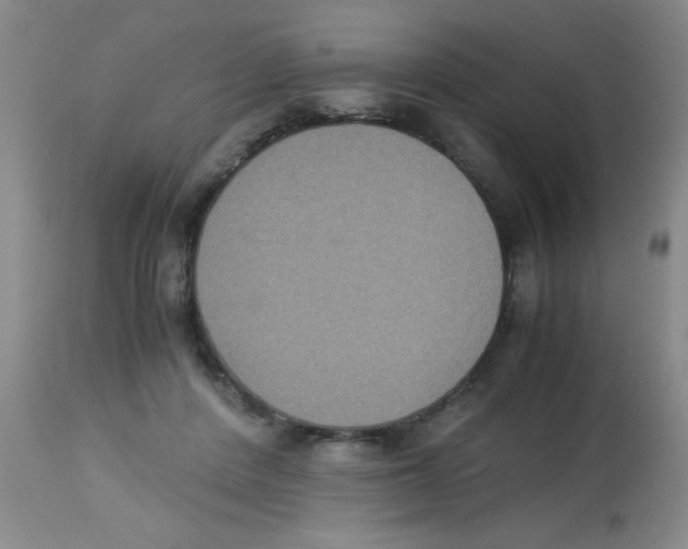 X0000113950408200910232011