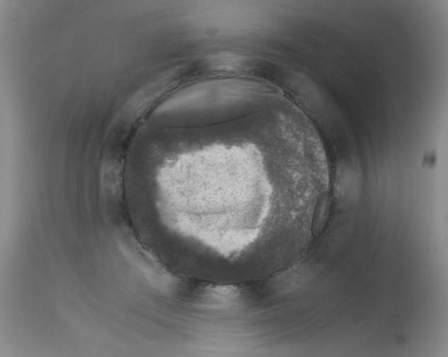 X0000113950409200910232011