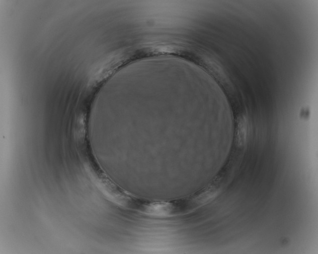 X0000113950410200910232011