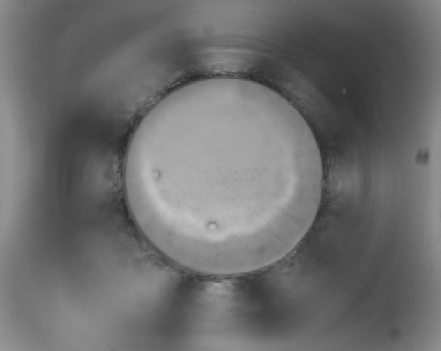 X0000113950411200910232011