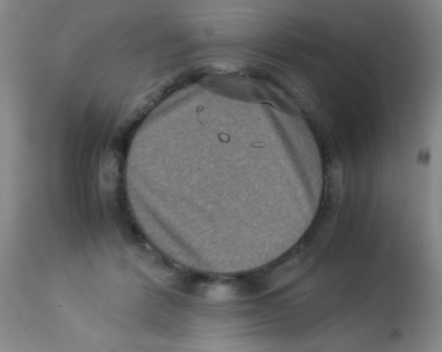 X0000113950412200910232011