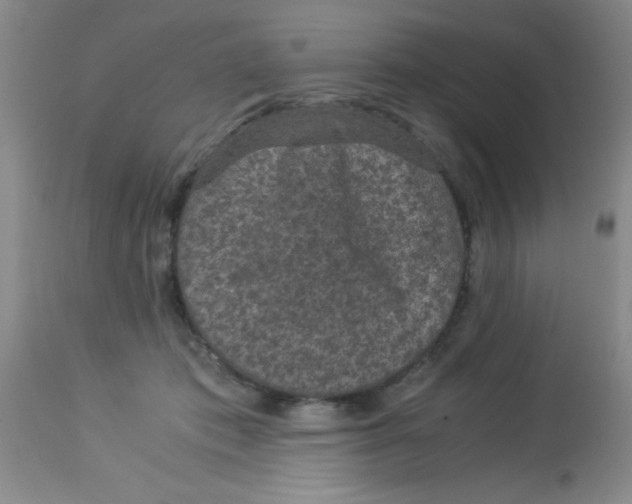 X0000113950413200910232011