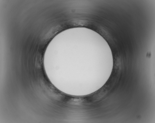 X0000113950414200910232011