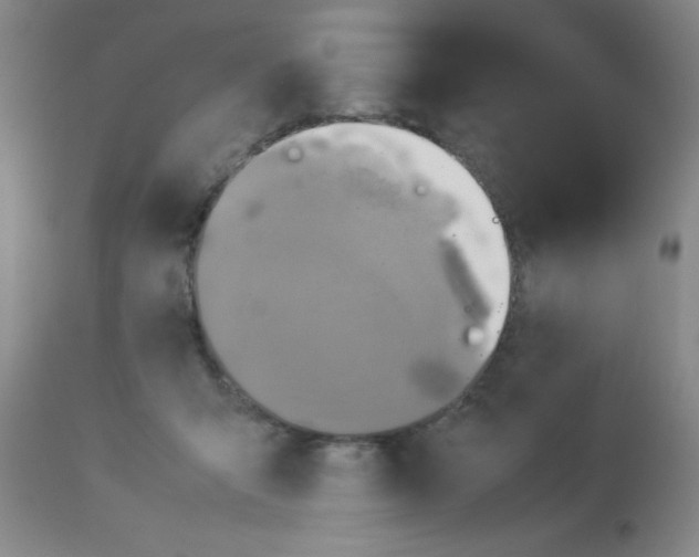X0000113950415200910232011