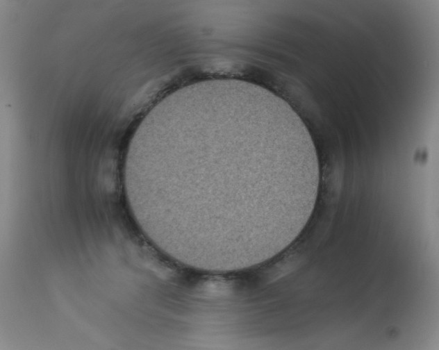 X0000113950416200910232011