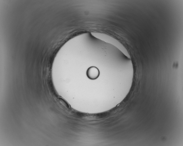 X0000113950417200910232011