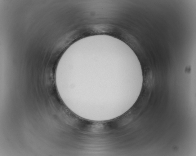 X0000113950418200910232011