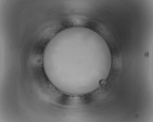 X0000113950419200910232011