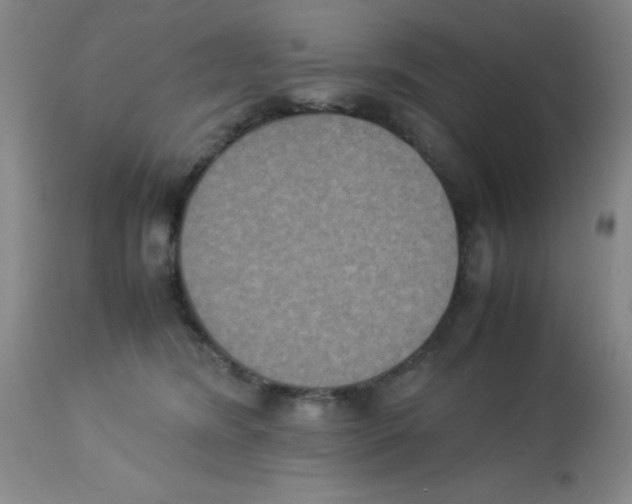 X0000113950420200910232011