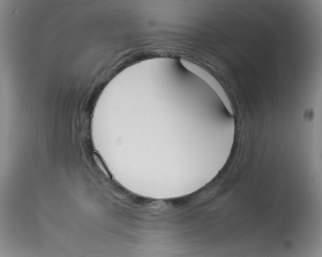 X0000113950421200910232011