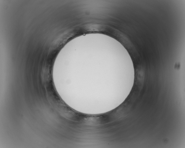 X0000113950422200910232011