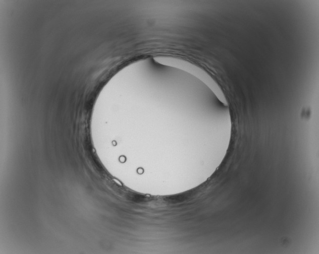 X0000113950423200910232011