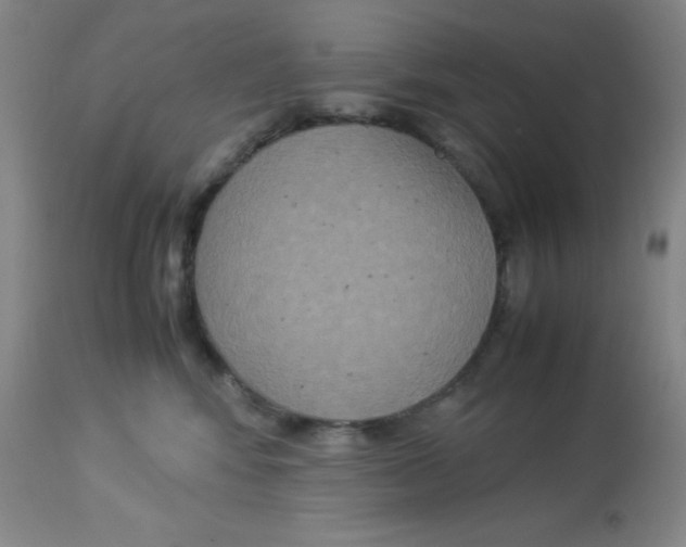 X0000113950424200910232011