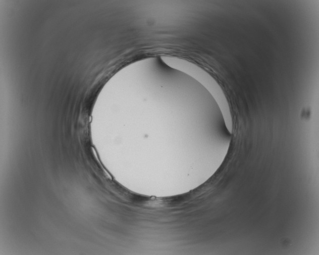 X0000113950425200910232011
