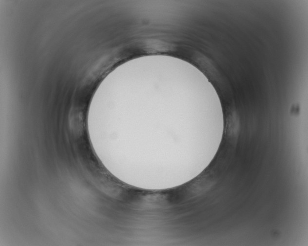 X0000113950426200910232011