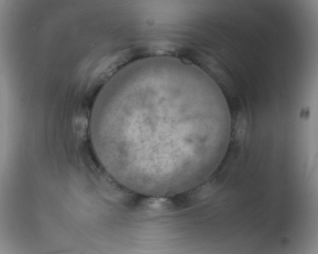 X0000113950427200910232011