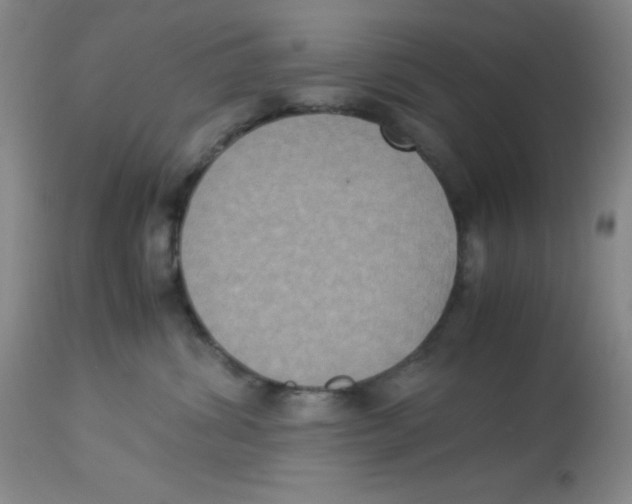 X0000113950428200910232011