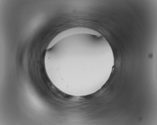 X0000113950429200910232011