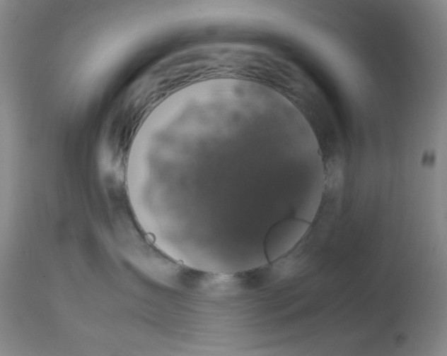 X0000113950431200910232011