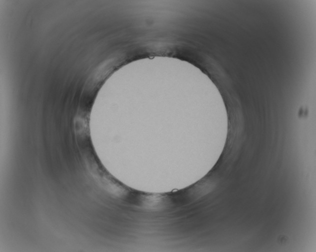 X0000113950432200910232010