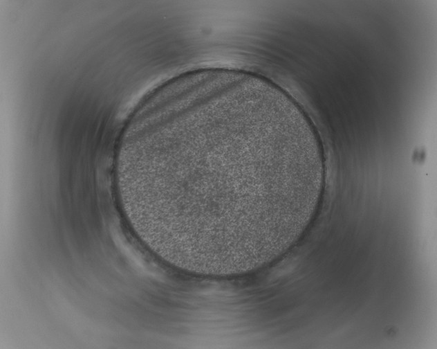 X0000113950434200910232010