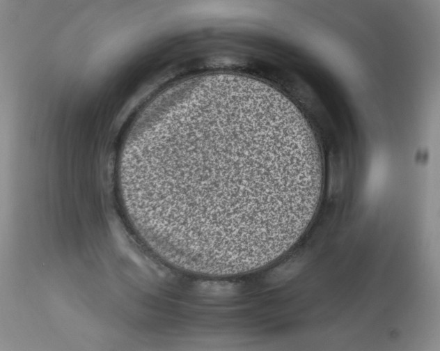 X0000113950435200910232010