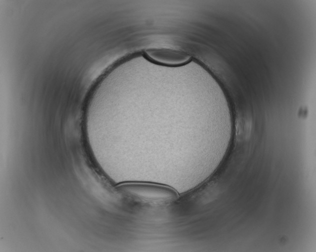 X0000113950436200910232010