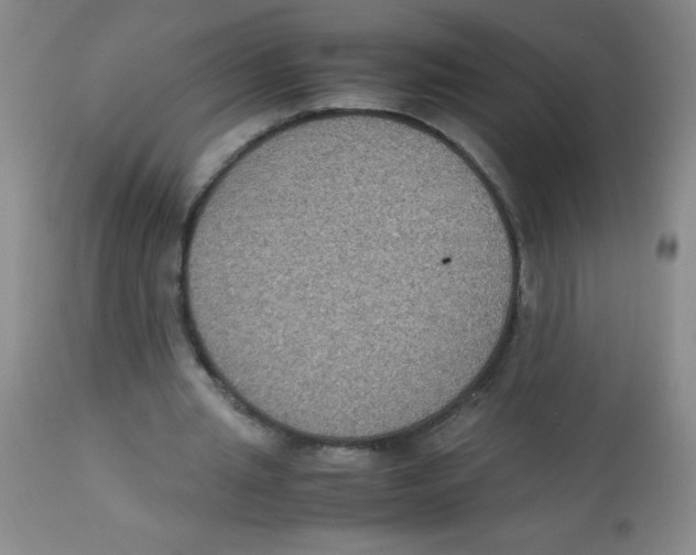 X0000113950437200910232010