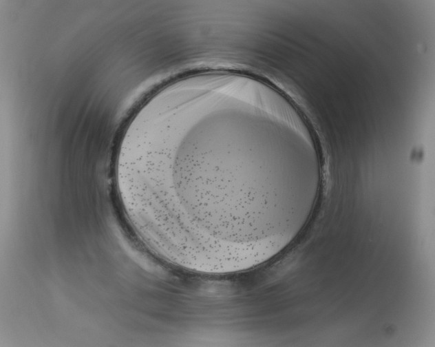 X0000113950438200910232010