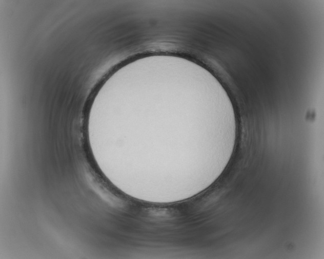X0000113950439200910232010