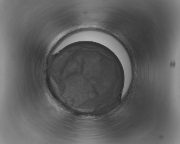 X0000113950440200910232010