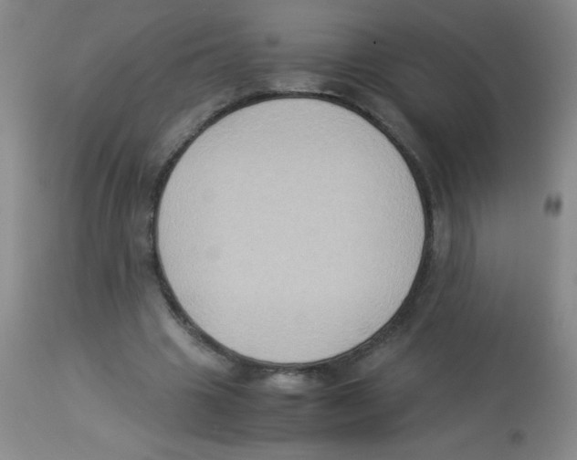 X0000113950441200910232010