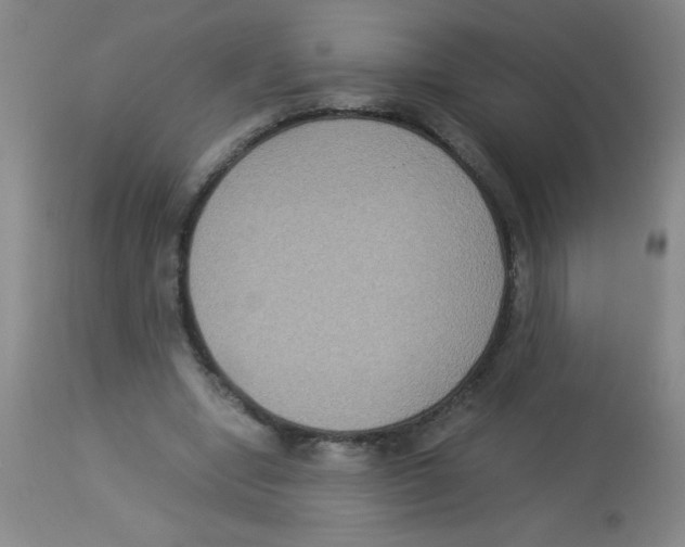 X0000113950442200910232010