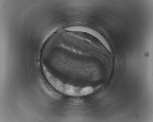 X0000113950443200910232010