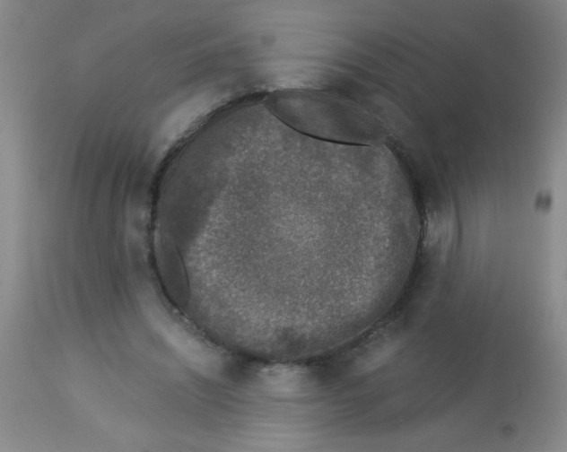 X0000113950444200910232010