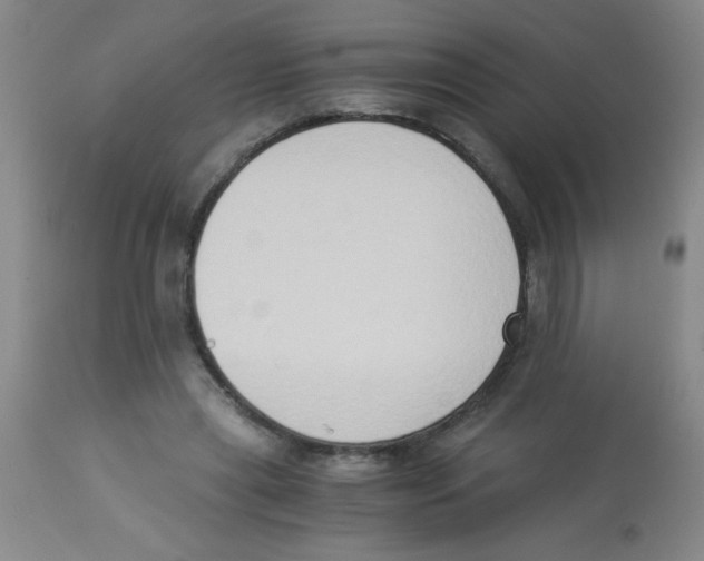 X0000113950445200910232010