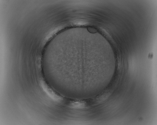 X0000113950447200910232010