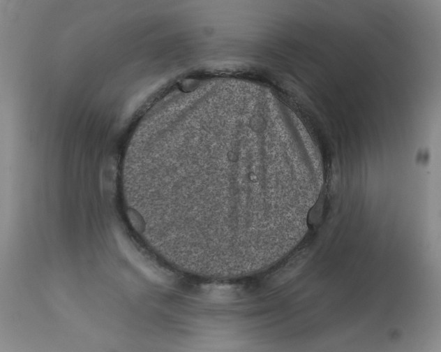 X0000113950448200910232010