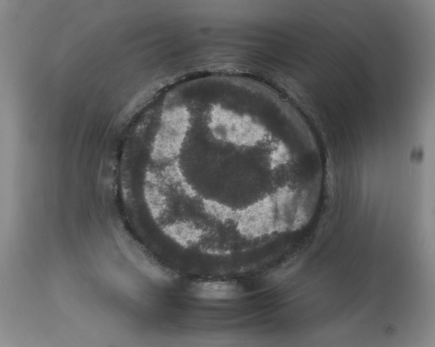 X0000113950449200910232010
