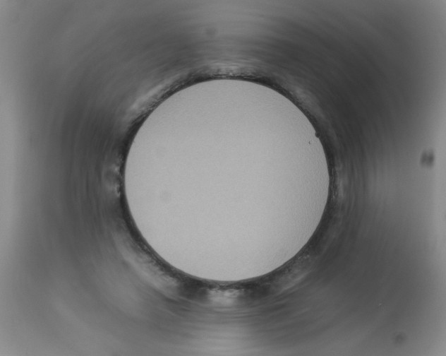 X0000113950450200910232010